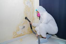 Reliable Teviston, CA Mold Removal Services Solutions